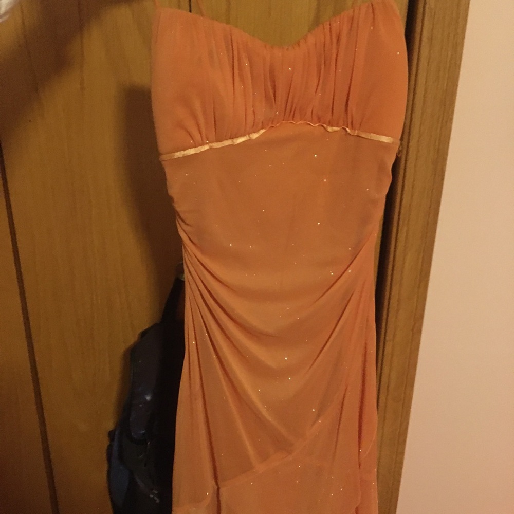 prom dress (used once)